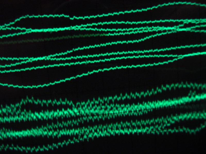 Free Stock Photo: green coloured oscilloscope trace plotted on the graticule