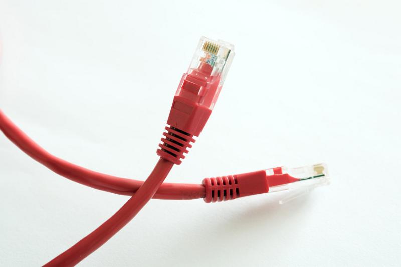 Free Stock Photo: Two loose, red ethernet network cable and plugs isolated on a white background.