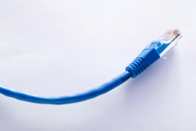 Free Stock Photo: a standard blue coloured RJ45 ethernet cable with plug and boot