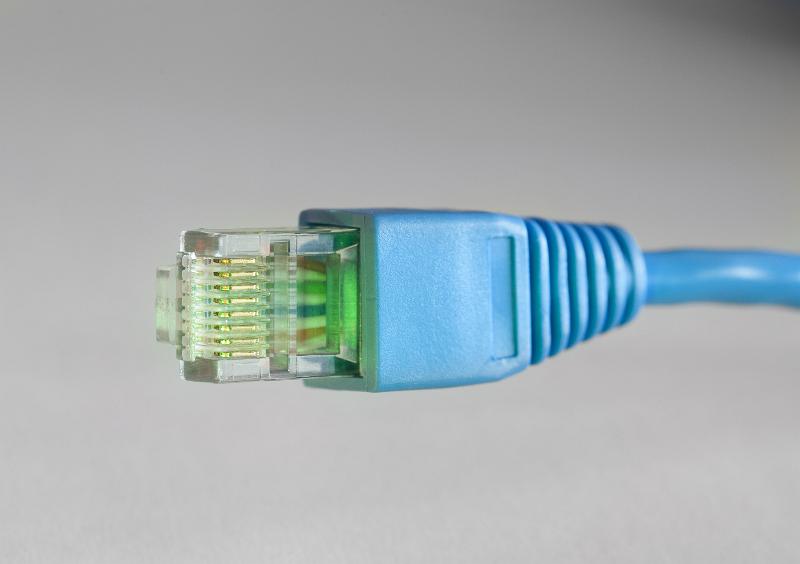 Free Stock Photo: a computer ethernet cable