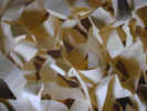 paperstrips3823.jpg (905175 bytes)