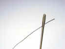 sewingneedle3551.jpg (244050 bytes)
