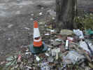 coneandrubish1676.jpg (804248 bytes)