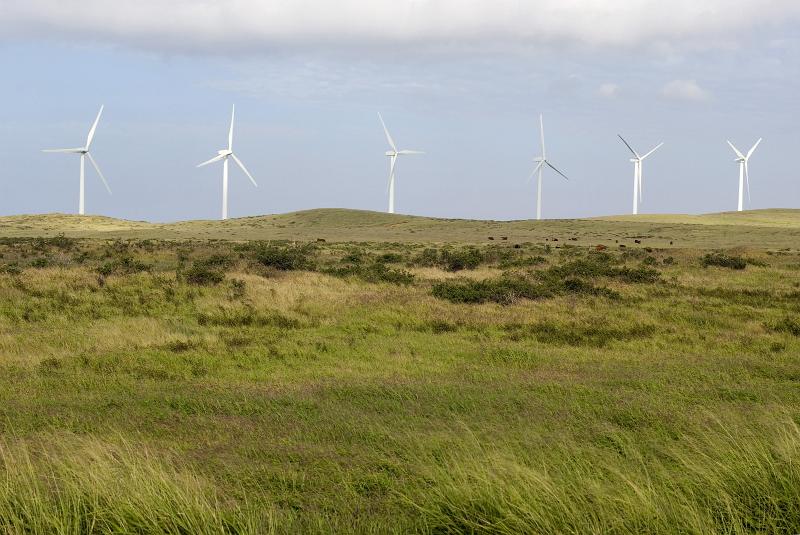 Free Stock Photo: a line of wind turbines on a hill, generating wind power