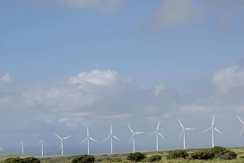 Free Stock Photo: a line of wind power generators