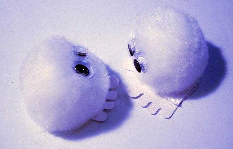 Free Stock Photo: Pair of round soft fluffy little toys with big eyes and four toes photographed in purple light on a white background from above