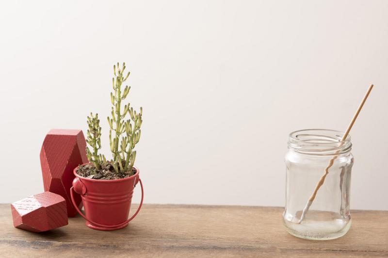 Free Stock Photo: Eclectic desk work place with red ornaments and a small potted plant in a bucket and a single paintbrush in a glass jar against a white wall with copy space