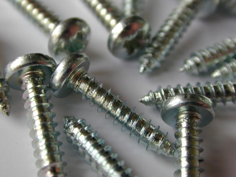 Free Stock Photo: Close Up of Silver Colored Metal Screws with Phillips Drive Heads Scattered on White Background