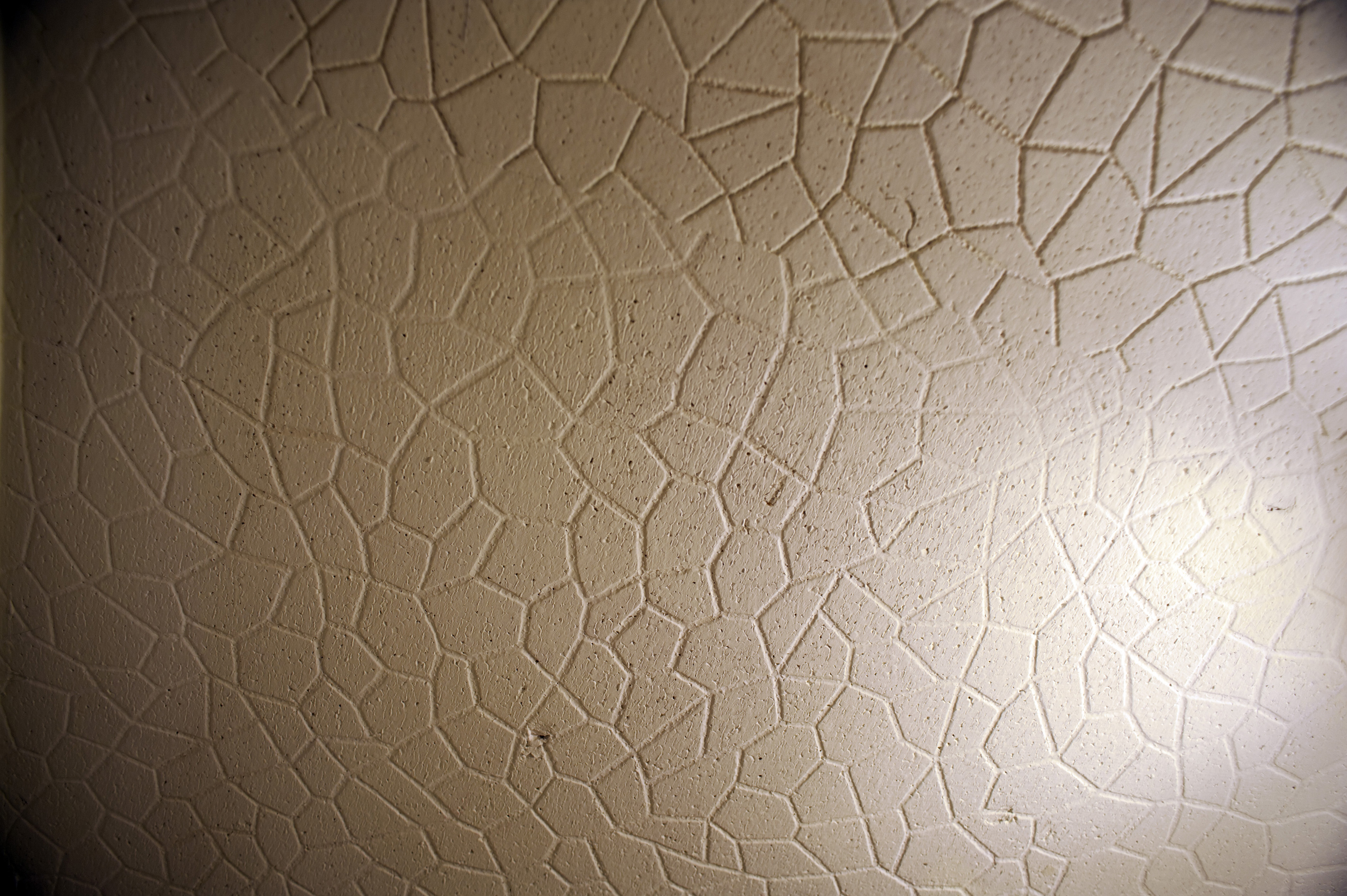 Free Image Of Polystyrene Ceiling Tiles