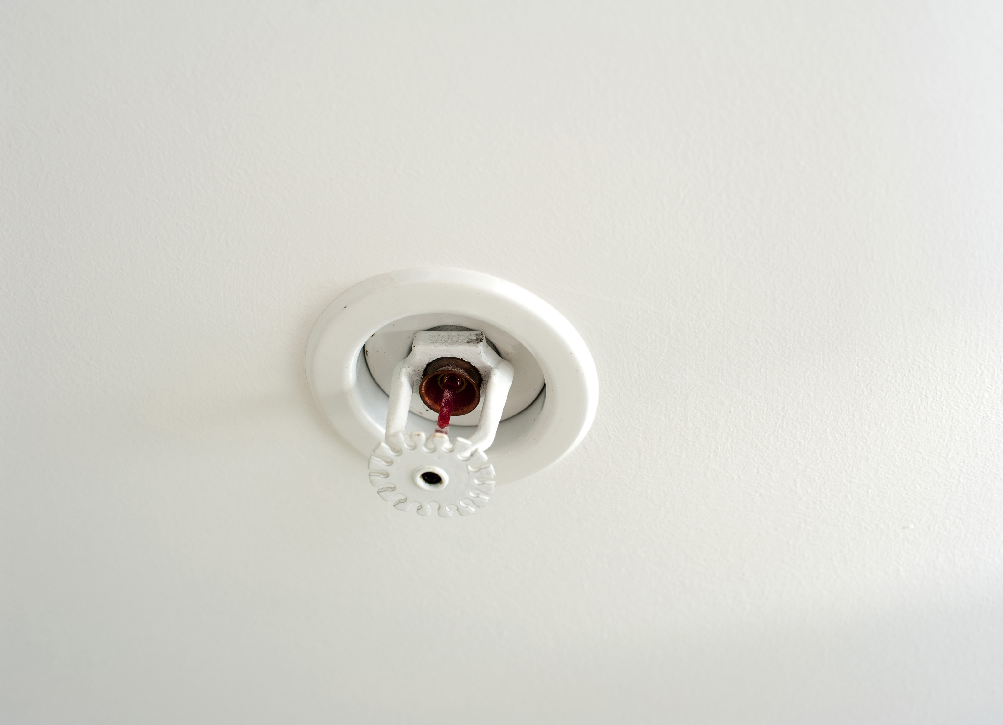 Ceiling Mounted Sprinkler Heads Shelly Lighting